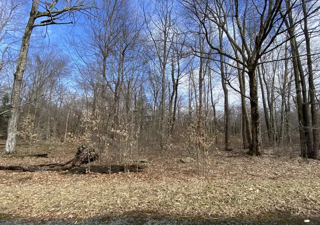 Photo 1 of Land for sale at 1020 W Wadi Rd W, Pocono Lake, PA 18347 | MLS# PM-130264 | Listing updated on 2026-08-21