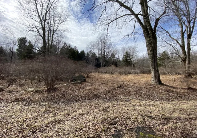 Photo 1 of Land for sale at 906 Wadi Rd W, Pocono Lake, PA 18347 | MLS# PM-130268 | Listing updated on 2025-05-05