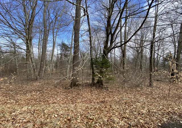 5th image of 1022 W Wadi Rd W, Pocono Lake, PA 18347 | MLS# PM-130278