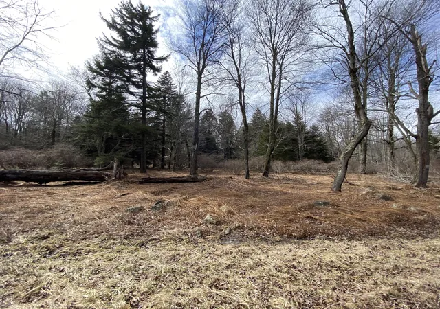 Photo 1 of Land for sale at 910 Wadi Rd W, Pocono Lake, PA 18347 | MLS# PM-130274 | Listing updated on 2025-05-05