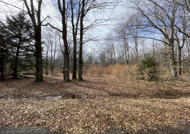 Photo 23 of Land for sale at 910 Wadi Rd W, Pocono Lake, PA 18347 | MLS# PM-130274 | Listing updated on 2025-05-05