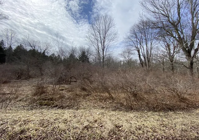 Photo 2 of Land for sale at 910 Wadi Rd W, Pocono Lake, PA 18347 | MLS# PM-130274 | Listing updated on 2025-05-05