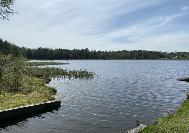 Photo 4 of Land for sale at 910 Wadi Rd W, Pocono Lake, PA 18347 | MLS# PM-130274 | Listing updated on 2025-05-05