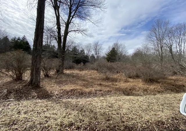 Photo 1 of Land for sale at 911 Wadi Rd W, Pocono Lake, PA 18347 | MLS# PM-130276 | Listing updated on 2025-05-05