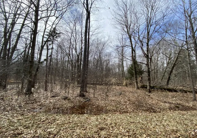 Photo 1 of Land for sale at 912 Wadi Rd W, Pocono Lake, PA 18347 | MLS# PM-130277 | Listing updated on 2025-05-05