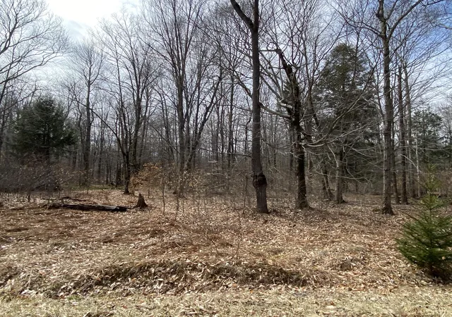 Photo 2 of Land for sale at 912 Wadi Rd W, Pocono Lake, PA 18347 | MLS# PM-130277 | Listing updated on 2025-05-05
