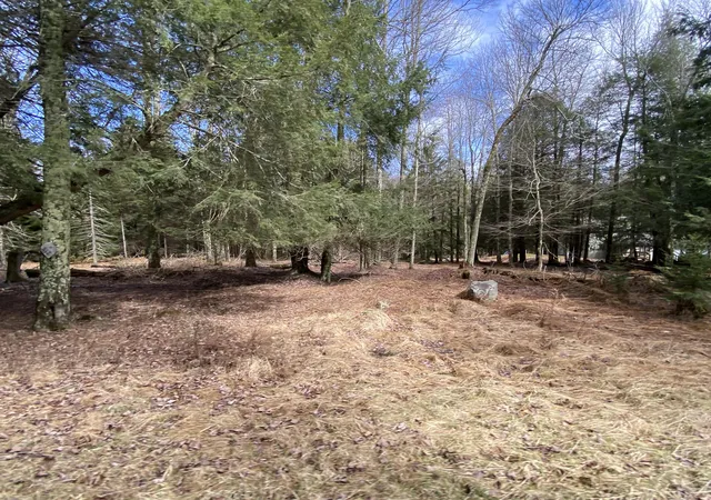 1st image of 1025 W Wadi Rd W, Pocono Lake, PA 18347 | MLS# PM-130280