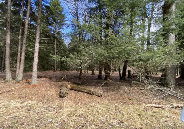 3rd image of 1025 W Wadi Rd W, Pocono Lake, PA 18347 | MLS# PM-130280