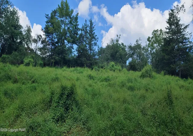 Photo 1 of Land for sale at Lot Edgemont Rd, Stroudsburg, PA 18360 | MLS# PM-130462 | Listing updated on 2025-11-20