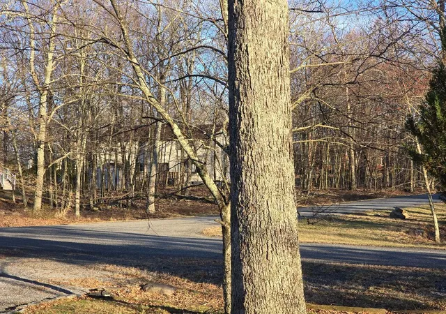 Photo 26 of Single family home for sale at 202 Tomnody Dr, Tamiment, PA 18371 | MLS# PM-131034 | Listing updated on 2025-08-20