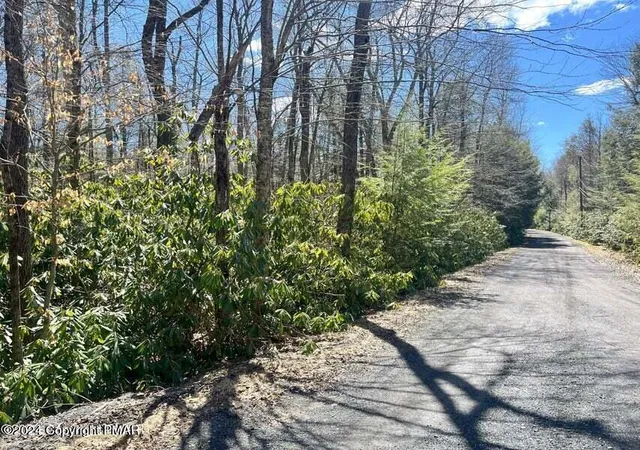Photo 3 of Land for sale at C475 Treetop Ln, Albrightsville, PA 18210 | MLS# PM-131156 | Listing updated on 2025-10-08