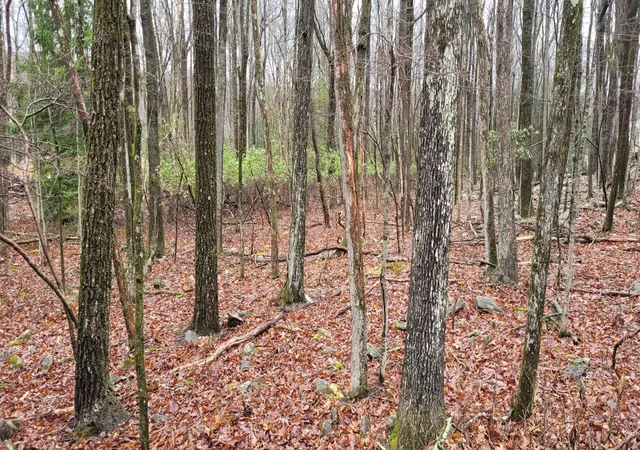 Photo 1 of Land for sale at A384 Sunset Dr, Jim Thorpe, PA 18229 | MLS# PM-131304 | Listing updated on 2025-06-14