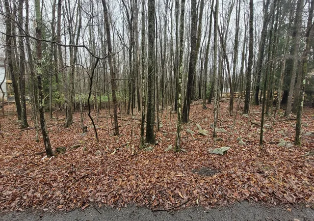 Photo 2 of Land for sale at A384 Sunset Dr, Jim Thorpe, PA 18229 | MLS# PM-131304 | Listing updated on 2025-06-14