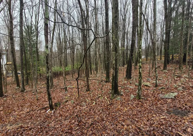Photo 3 of Land for sale at A384 Sunset Dr, Jim Thorpe, PA 18229 | MLS# PM-131304 | Listing updated on 2025-06-14