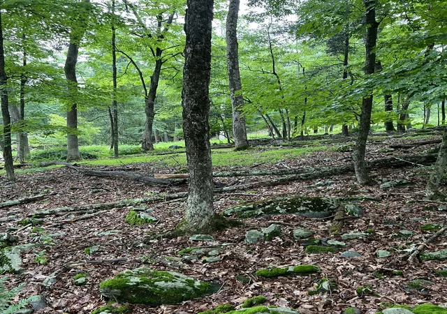 Photo 2 of Land for sale at 336 Clubhouse Dr, East Stroudsburg, PA 18302 | MLS# PM-133622 | Listing updated on 2025-08-05