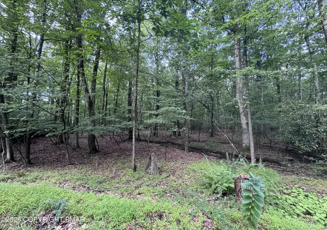 Photo 3 of Land for sale at 3 Tioga Dr, Kunkletown, PA 18058 | MLS# PM-131589 | Listing updated on 2026-09-23