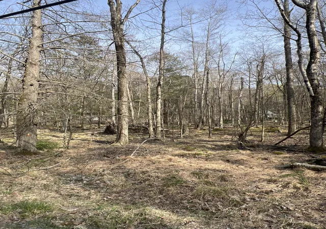 Photo 1 of Land for sale at Lot 814 White Pine Dr, Pocono Lake, PA 18347 | MLS# PM-131764 | Listing updated on 2025-07-09