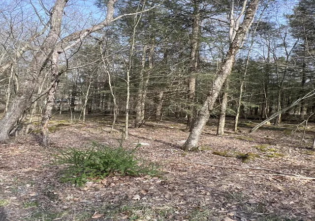Photo 2 of Land for sale at Lot 814 White Pine Dr, Pocono Lake, PA 18347 | MLS# PM-131764 | Listing updated on 2025-07-09