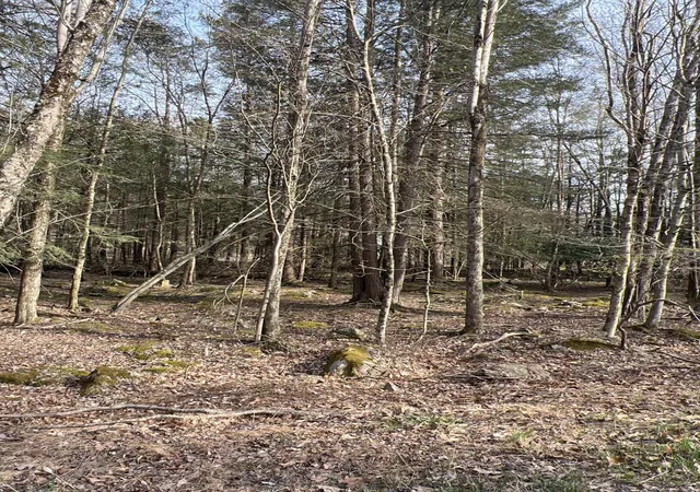 Photo 3 of Land for sale at Lot 814 White Pine Dr, Pocono Lake, PA 18347 | MLS# PM-131764 | Listing updated on 2025-07-09