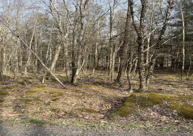 Photo 1 of Land for sale at Lot 813 White Pine Dr, Pocono Lake, PA 18347 | MLS# PM-131766 | Listing updated on 2025-07-09