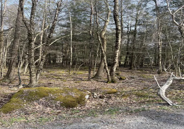 Photo 2 of Land for sale at Lot 813 White Pine Dr, Pocono Lake, PA 18347 | MLS# PM-131766 | Listing updated on 2025-07-09