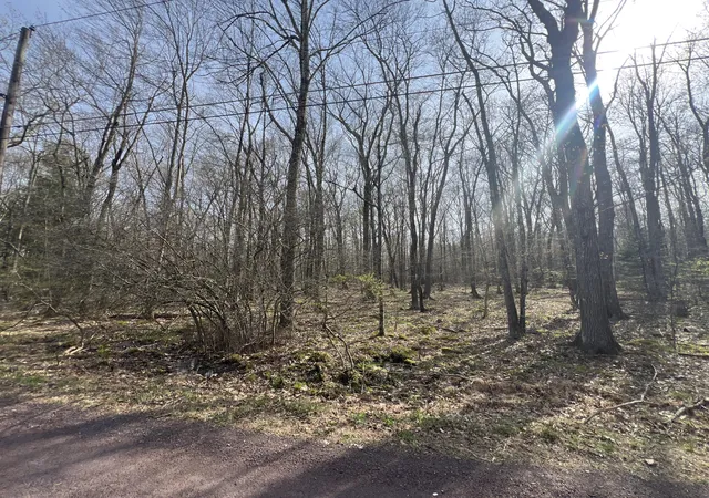 Photo 1 of Land for sale at Lot 1010 Beaver Run, Pocono Lake, PA 18347 | MLS# PM-131768 | Listing updated on 2025-07-09