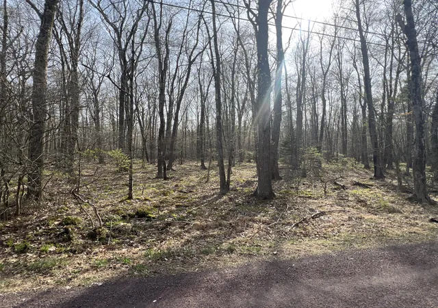 Photo 2 of Land for sale at Lot 1010 Beaver Run, Pocono Lake, PA 18347 | MLS# PM-131768 | Listing updated on 2025-07-09
