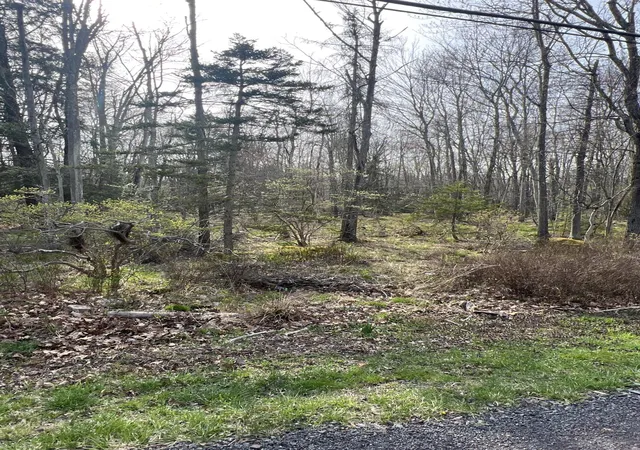 Photo 3 of Land for sale at Lot 309 310 Wagner Way Way, Pocono Lake, PA 18347 | MLS# PM-131774 | Listing updated on 2025-10-06
