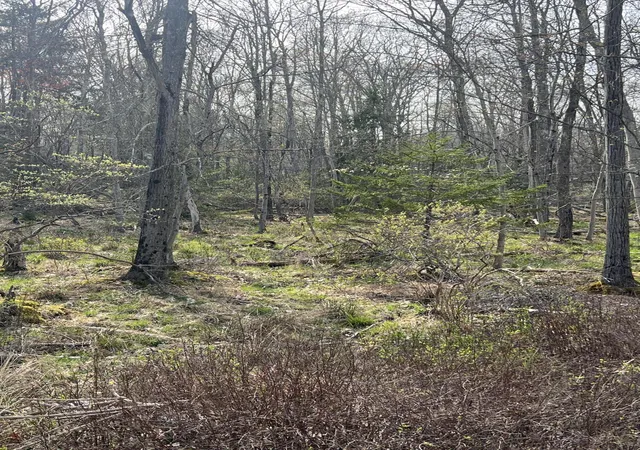 Photo 3 of Land for sale at Lot 309-310 Wagner Way Way, Pocono Lake, PA 18347 | MLS# PM-131774 | Listing updated on 2025-10-06