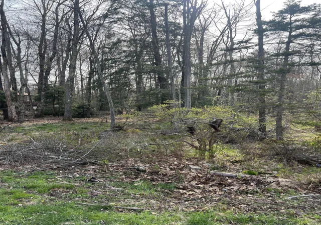 Photo 4 of Land for sale at Lot 309-310 Wagner Way Way, Pocono Lake, PA 18347 | MLS# PM-131774 | Listing updated on 2025-10-06