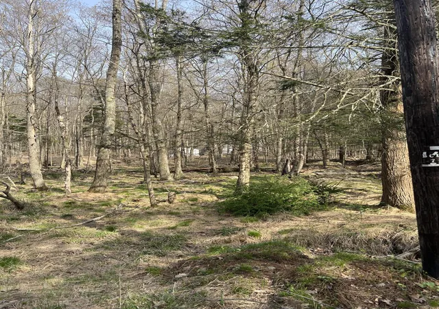 Photo 3 of Land for sale at Lot 719 Elk Run Rd, Pocono Lake, PA 18347 | MLS# PM-131776 | Listing updated on 2025-10-20