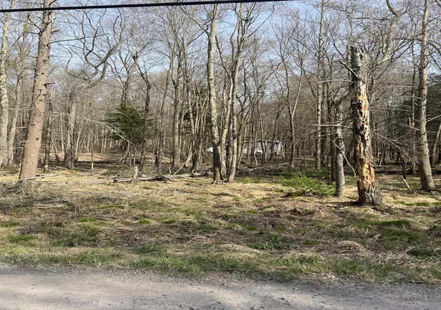 Photo 3 of Land for sale at Lot 719 Elk Run Rd, Pocono Lake, PA 18347 | MLS# PM-131776 | Listing updated on 2025-10-20