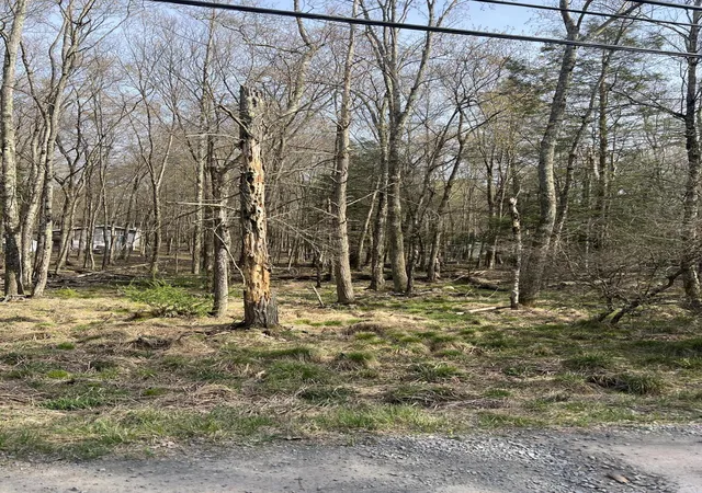 Photo 4 of Land for sale at Lot 719 Elk Run Rd, Pocono Lake, PA 18347 | MLS# PM-131776 | Listing updated on 2025-10-20