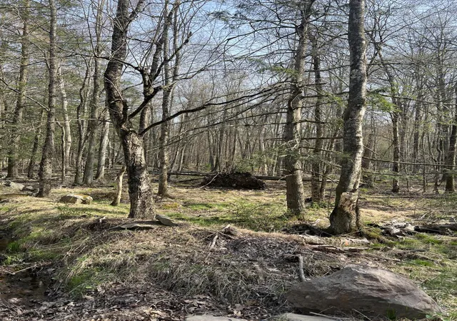 Photo 4 of Land for sale at Lot 720 Elk Run Rd, Pocono Lake, PA 18347 | MLS# PM-131778 | Listing updated on 2025-10-20