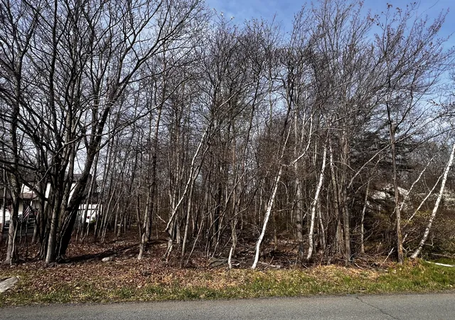 Photo 3 of Land for sale at Lot 5420 Clearview Dr, Long Pond, PA 18334 | MLS# PM-131783 | Listing updated on 2025-07-09