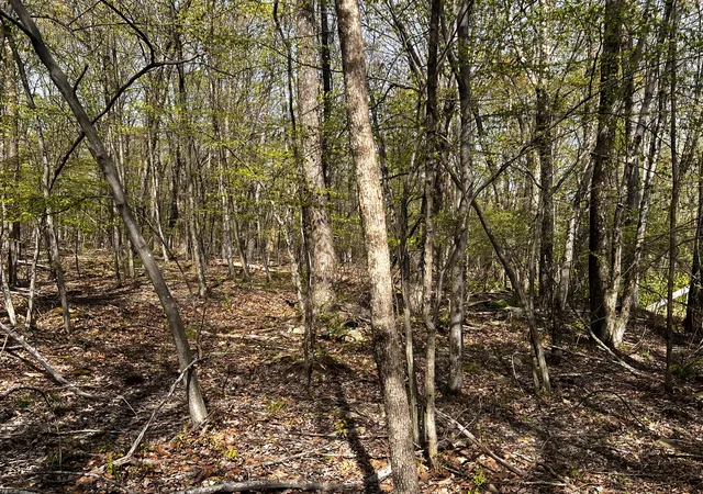 Photo 3 of Land for sale at Lot 72 Larkspur/woodruff, Stroudsburg, PA 18360 | MLS# PM-131785 | Listing updated on 2025-11-04