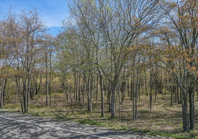 Homes for sale in Blakeslee, PA | Pa 115 2, Blakeslee, PA 18610 | MLS# PM-132136