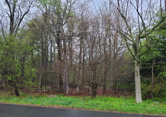Photo 1 of Land for sale at Lot B13 Forest Dr, Tobyhanna, PA 18466 | MLS# PM-131964 | Listing updated on 2025-05-08