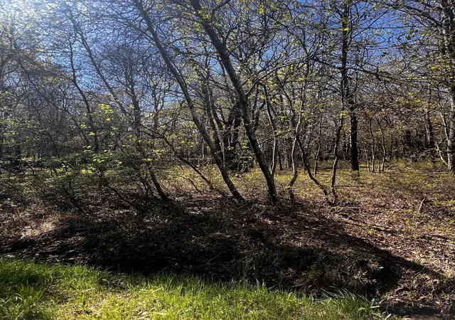 Photo 3 of Land for sale at Lot 5915 Wild Laurel Dr, Long Pond, PA 18334 | MLS# PM-132185 | Listing updated on 2025-07-09