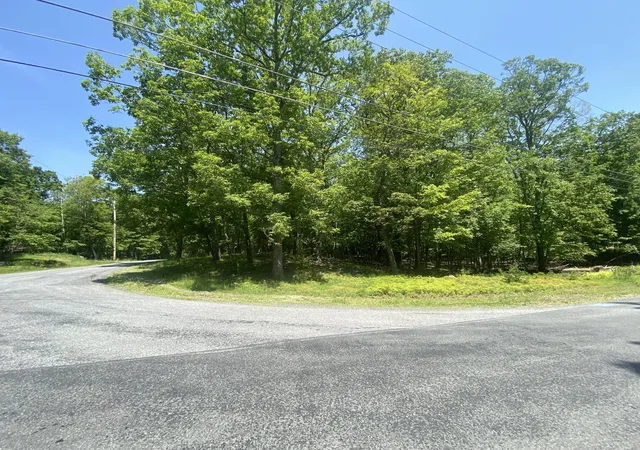 Photo 1 of Land for sale at Lot 185, Bushkill, PA 18324 | MLS# PM-132833 | Listing updated on 2025-06-04