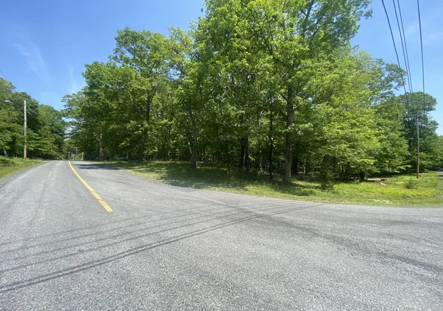 Photo 2 of Land for sale at Lot 185, Bushkill, PA 18324 | MLS# PM-132833 | Listing updated on 2025-06-04