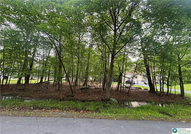 Photo 3 of Land for sale at 135 Heather Hl Rd, Dingmans Ferry, PA 18328 | MLS# PM-132815 | Listing updated on 2025-07-30