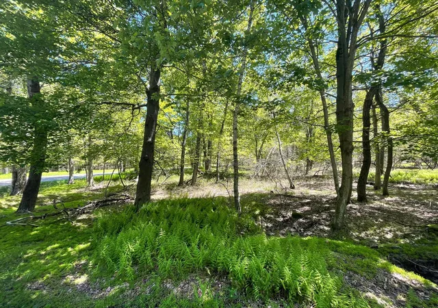 Photo 1 of Land for sale at Ev988 Cummings Ln & Stony Mountain Rd, Albrightsville, PA 18210 | MLS# PM-132895 | Listing updated on 2025-06-14
