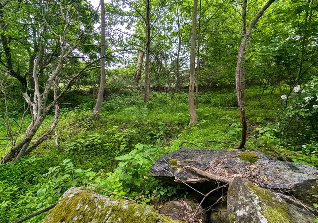 Photo 2 of Land for sale at 211 Ravens Nest Rd, Stroudsburg, PA 18360 | MLS# PM-132872 | Listing updated on 2026-06-29