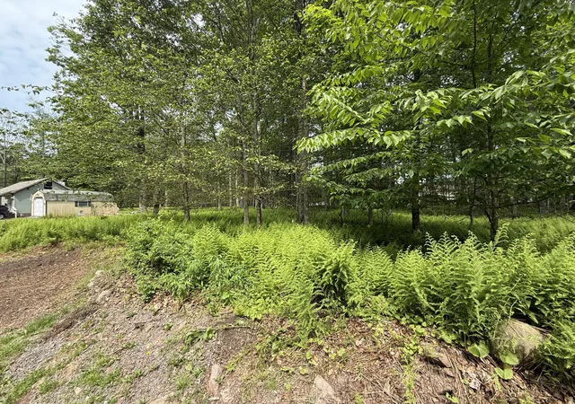 Homes for sale in Blakeslee, PA | Dorshimer Ave, Blakeslee, PA 18610 | MLS# PM-132868