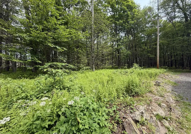 Homes for sale in Blakeslee, PA | Dorshimer Ave, Blakeslee, PA 18610 | MLS# PM-132868