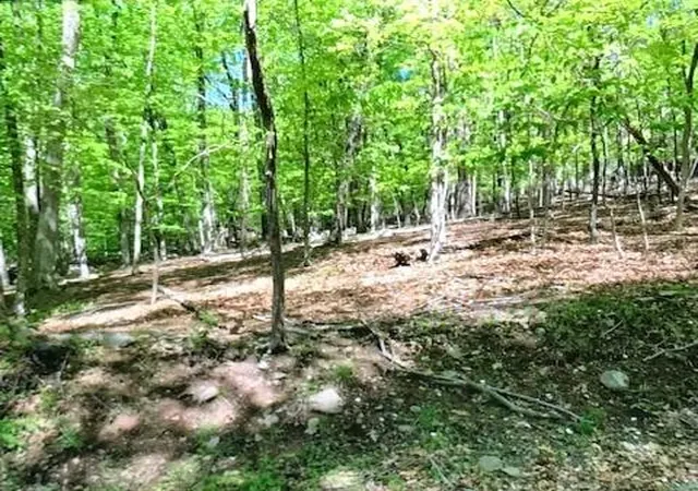Photo 1 of Land for sale at Highland Ter 7g, East Stroudsburg, PA 18301 | MLS# PM-133105 | Listing updated on 2025-06-13