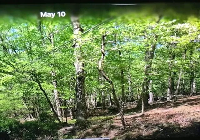 Photo 2 of Land for sale at Highland Ter 7g, East Stroudsburg, PA 18301 | MLS# PM-133105 | Listing updated on 2025-06-13