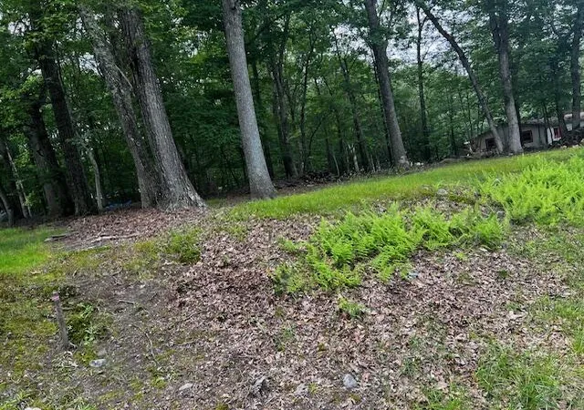 Photo 2 of Land for sale at 83 Park Dr, East Stroudsburg, PA 18302 | MLS# PM-133277 | Listing updated on 2025-07-29