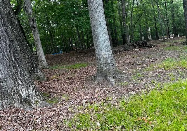 Photo 3 of Land for sale at 83 Park Dr, East Stroudsburg, PA 18302 | MLS# PM-133277 | Listing updated on 2025-07-29